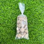 Fossil Mix | Bag of Genuine Fossils!