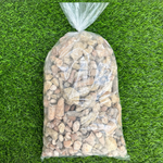 Fossil Mix | Bag of Genuine Fossils!