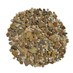 Fossil Mix | Bag of Genuine Fossils!