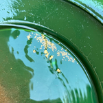 2.5lb Gold Paydirt - "Picker Bag"