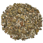 Fossil Mix | Bag of Genuine Fossils!