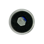 16 Piece Round Gem Holders with Snap on Lids in Black Foam