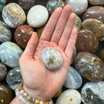 Ocean Jasper Palm Stones