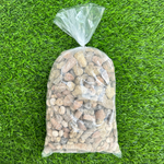 Fossil Mix | Bag of Genuine Fossils!