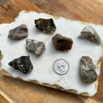 Sea Jasper