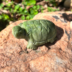 Green Jade Turtle