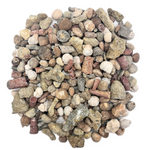 Fossil Mix | Bag of Genuine Fossils!