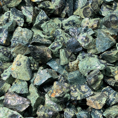 Crocodile Jasper