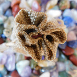 Bag of Tumbled Gemstones | Choose Your Quantity!