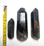 Smoky Quartz Points (Lot of 3) | Large Pieces