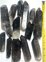 Smoky Quartz Points (Lot of 3) | Large Pieces
