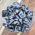 Indigo Gabbro - 11 lbs