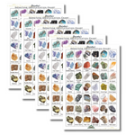 5 Pack "Beginner's Bounty" 8lb Gemstone Paydirt