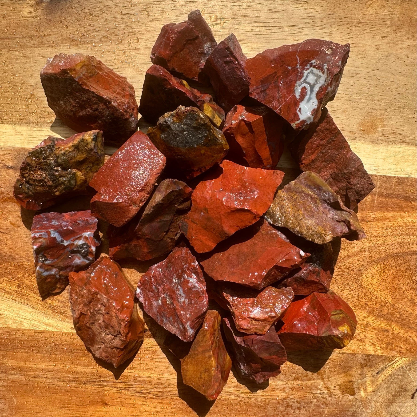 Chestnut/Red Jasper – Sluiceboy Prospecting LLC