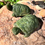 Green Jade Turtle