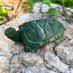 Green Jade Turtle