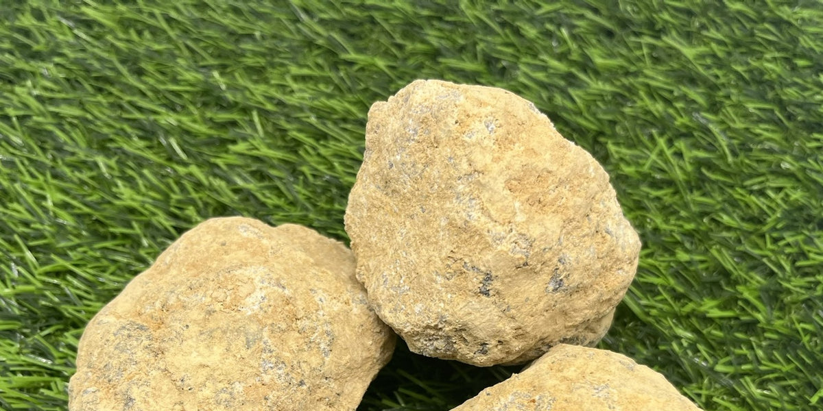 Break Your Own Geodes! IN BOX | Medium Size – Sluiceboy Prospecting LLC