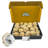 Break Your Own Geodes! IN BOX | Raw, Uncut Crystal Geode Specimens | SMALL